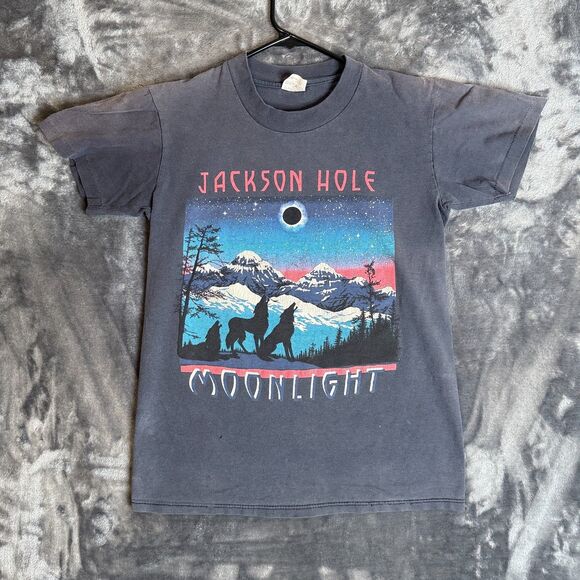 Vintage Jackson Hole Moonlight Nature T-Shirt Size Small Night Winter Wolf Faded - Picture 1 of 7
